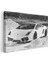 Lamborghini Gallardo - Beyaz Süper Otomobil Kanvas Tablo 3