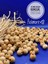 14 mm Ahşap Boncuk (50 Gram 50 Adet) Dar Delik Çapı 4 mm Makrome Çanta Bileklik Takı Renkli 1