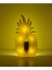 Ananas Gece Lambası 2