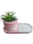 Oval Tabaklı Silindir Saksı Pembe Beyaz 18X9,5CM 1