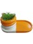 Oval Tabaklı Silindir Saksı Turuncu Beyaz 18X9,5CM 1