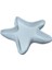 Deniz Yıldızı Kase 14X13,5CM 1