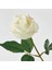 Yapay Çiçek, Beyaz, 40 Cm, Yıldız Çiçeği, Iç/dış Mekan 3