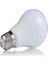 12-24 Volt Dc 10 Watt LED Ampül 5 Li 1
