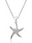 925 Ayar Gümüş Deniz Yıldızı Kadın Gümüş Kolye T4705 1
