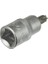 Lokmalı () Torx Bits Uç - T60 (10 Adet) 1