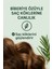 8 Aktifli Doğal Içerikli Biberiye Özlü & Keratin Destekli Dökülme Karşıtı Ferahlatıcı Şampuan 3