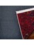 Bordo Bordürlü Modern Etnik Desenli Halı | Makinada Yıkanabilir | Hav Toz Vermez | Leke Tutmayaz | Kaymaz Taban | Dijital Makine Baskı | Salon Yolluk Mutfak Halısı 4
