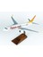 Pegasus B737-800 Yolcu Uçağı, 1/100 Ölçek, Sergilemeye Hazır Ahşap Standlı 2