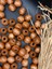20 mm Ahşap Boncuk (50 gr 18 Adet)Geniş Delik Çapı 7 mm Makrome Çanta Bileklik Takı Renkli 3