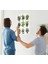 Tropikal Bitkiler Duvar Stickerı 8'li Set 30 cm Pvc Malzeme Yapışkanlı 3