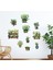 Tropikal Bitkiler Duvar Stickerı 8'li Set, 90X35 cm Büyük Boy Pvc 1