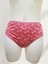 4'lü Motifli Pamuklu Kadın Bikini Külot 5