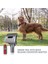 2x Vakum Bağlantı Köpek Kedi Evcil Hayvan Yatağı Fırça Damat Aracı Dyson V11 V10 V8 V8 V7 Vakum Süpürge Aksesuarları (Yurt Dışından) 2