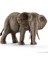 Schleich Afrika Fili Dişi 1