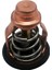 17670-90J10 Termostat 71 Suzuki Deniz Dışındaki DF90 DF115 DF140 Motorlar 71ºc 17670-90J10-000 (Yurt Dışından) 5
