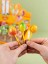 PixiPops gum Meyve Aromalı Dil Boyayan Top Lolipop 100 x 16 gr 5