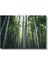 Bambu Ormanı - Göğe Uzanan Yeşil Sütunlar Kanvas Tablo 2