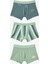 Erkek Çocuk Contour Dino Dinozor Desenli 3'lü Boxer 11