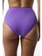 Mor Yüksek Bel Bikini Altı 14
