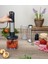 Güçlü 1200W Blender Seti, 12 Hız, Turbo, Paslanmaz Çelik Bıçaklar, Gri Renk 1