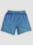 Erkek Mavi Çizgi Desenli Çok Amaçlı Sporcu Deniz Şortu, Havuz Şortu, Koşu Spor Şortu 2