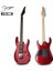 Hsh Elektro Gitar S-G5 Mrd 2