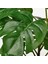 Yapay Bitki, Yeşil, 12 Cm, Monstera 3