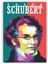 Franz Schubert WPAP Pop Art Ahşap Poster 20x29 cm 1