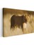 Aslan Kraliçesi - Altın Sarısı Savanada Heybetli Duruş Kanvas Tablo 3
