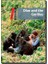 Dian And The Gorillas 1