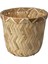 Bambu Saksı, Bambu, 9 cm 1