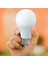 AL-A109G 9 Watt E27 4000K 810 Lümen Günışığı LED Ampul 2