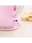 Paslanmaz Çelik Su Isıtıcı 1,7l, 2400W, Pembe Renkli 2