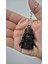 Star Wars ( Darth Vader + Stormtrooper) Anahtarlık 5
