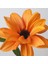 Yapay Çiçek, Turuncu, 55 Cm, Güneş Şapkası 4