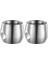 Paslanmaz Çelik Espresso Fincanları 2 Adet, 150 ml Çift Duvarlı Yalıtımlı Kırılmaz Bardak Küçük Bardak Açık Hava Piknikleri Partileri Için (Yurt Dışından) 2