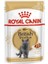 British Shorthair Adult Pouch Yetişkin Kedi Konservesi 85 Gr 2