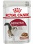 İnstinctive Gravy Yetişkin Kedi Maması 85 Gr 1