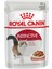 İnstinctive Gravy Yetişkin Kedi Maması 85 Gr 2