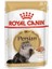 Persian Adult Pouch Kedi Maması 85 Gr 4