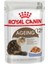 Gravy Ageing +12 Yaşlı Kedi Yaş Maması 85 Gr 4