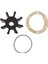 Jabsco Dıştan Takma Motor Için Deniz Suyu Pompası Pervanesi 920-0001 920-0001-P Tekne Aksesuarları Denizcilik (Yurt Dışından) 1