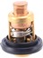 Adet 66M-12411-00 Yamaha Dıştan Takma Motor Motor Parçası Için Tekne Motoru Termostatı (Yurt Dışından) 2