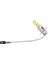 Araba Halojen Ampuller Araç Sis Lambası Dc 12V H3 100W Sarı Ampuller (Yurt Dışından) 2