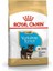 Yorkshire Terrier Junior Yavru Köpek Maması 1,5 kg 5