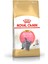 British Shorthair Kedi Maması 2 Kg 6