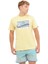 RETRO FADE SS Sarı Erkek Kısa Kol T-Shirt 15