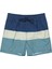 ALL DAY STRIPE LB Mavi Erkek Deniz Şortu 7