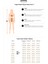 Her High-Waist Sweatpants Siyah Kadın Eşofman Altı 10